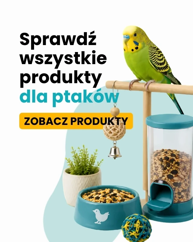 Mega obraz menu248445389